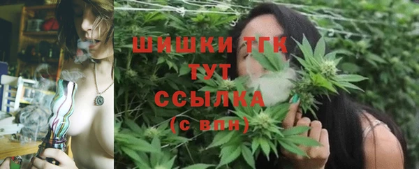 дмт Армянск